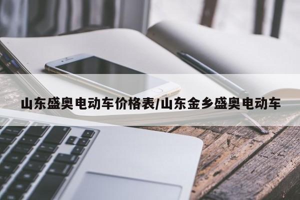 山东盛奥电动车价格表/山东金乡盛奥电动车