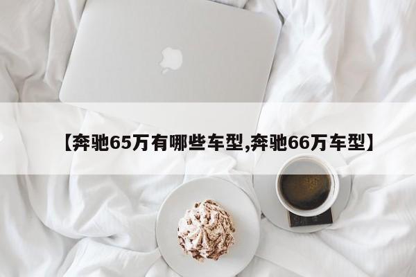 【奔驰65万有哪些车型,奔驰66万车型】