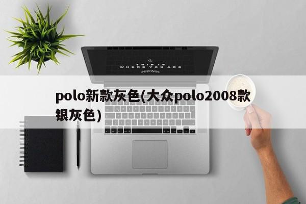 polo新款灰色(大众polo2008款银灰色)