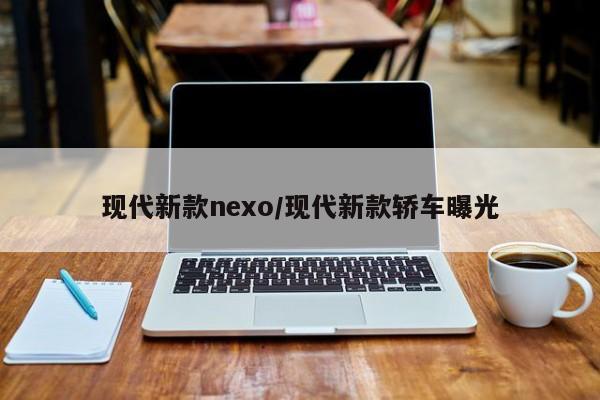 现代新款nexo/现代新款轿车曝光