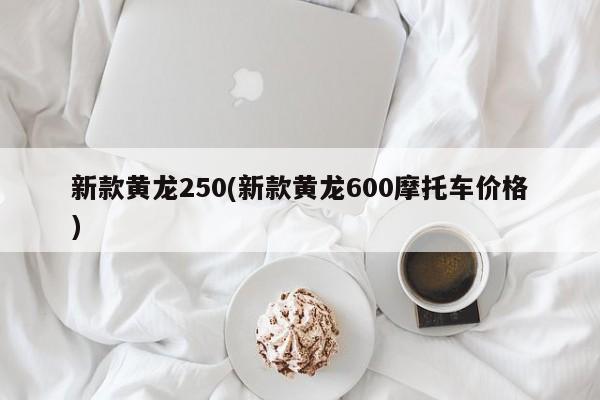 新款黄龙250(新款黄龙600摩托车价格)